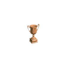 bronze trophy 